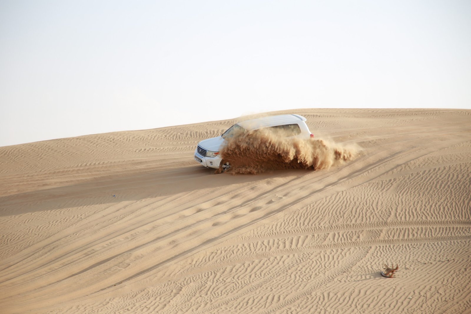 Desert Safari