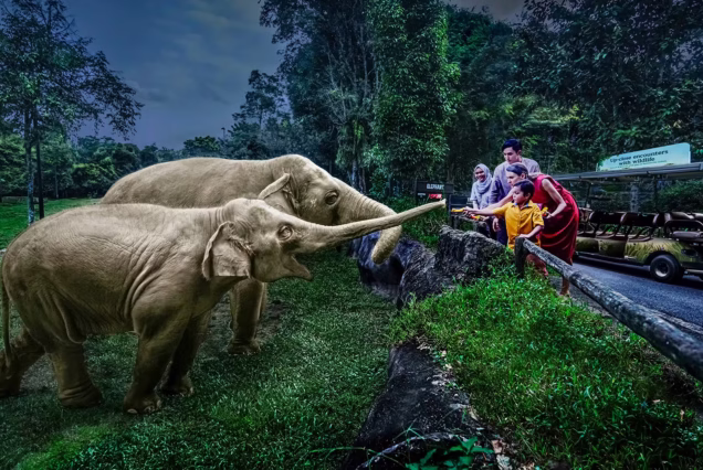 Night Safari Singapore Tickets